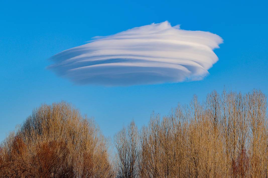 Van'da ilginç manzara! Saatlerce aynı yerde kaldı 2